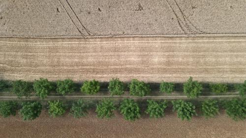 DJI_3623.JPG